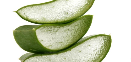 Come preparare e conservare il tuo gel d'aloe!