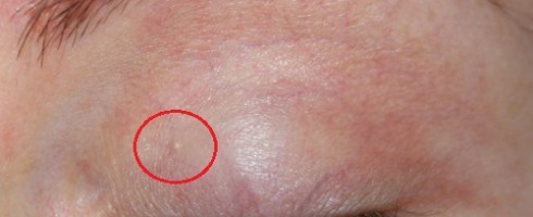 grano di miglio per cosmetici low cost